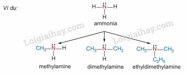 Lý thuyết Amine (Hóa 12 Kết nối tri thức 2024) (ảnh 8)