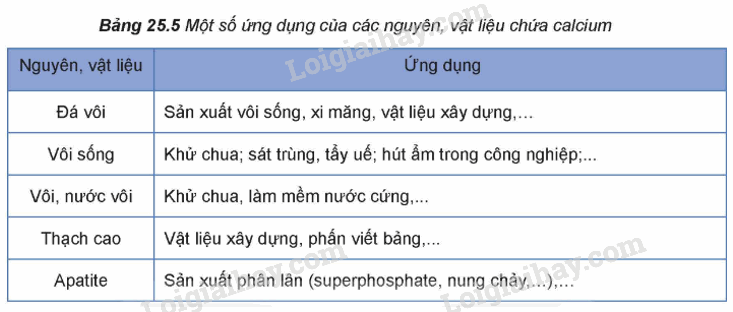 Lý thuyết Nguyên tố nhóm IIA (Hóa 12 Kết nối tri thức 2024) (ảnh 2)