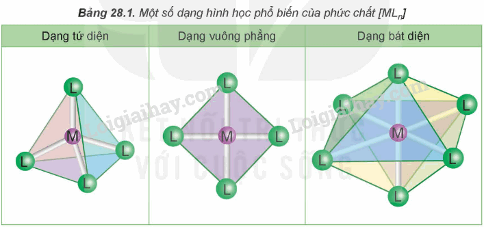 Lý thuyết Sơ lược về phức chất (Hóa 12 Kết nối tri thức 2024) (ảnh 1)