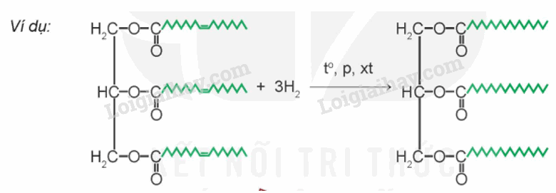 Lý thuyết Ester - Lipid (Hóa 12 Kết nối tri thức 2024) (ảnh 1)