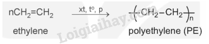 Lý thuyết Đại cương về polymer (Hóa 12 Kết nối tri thức 2024) (ảnh 2)