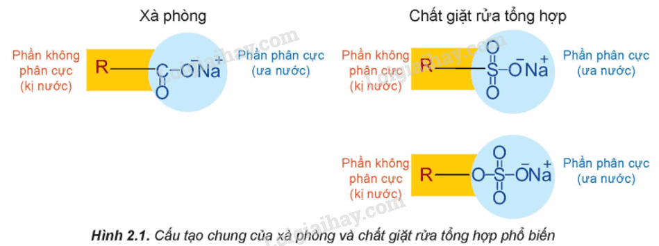 Lý thuyết Xà phòng và chất giặt rửa (Hóa 12 Kết nối tri thức 2024) (ảnh 5)