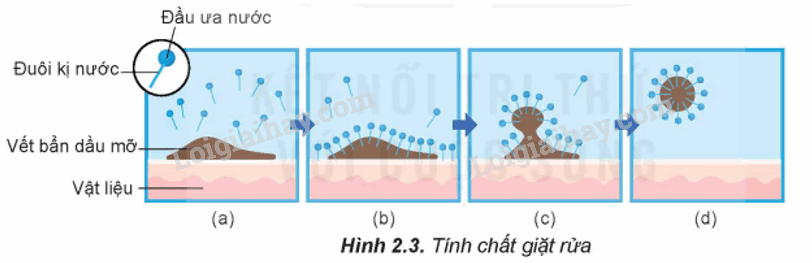 Lý thuyết Xà phòng và chất giặt rửa (Hóa 12 Kết nối tri thức 2024) (ảnh 4)