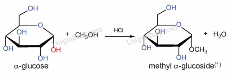 Lý thuyết Giới thiệu về carbohydrate. Glucose và fructose (Hóa 12 Kết nối tri thức 2024) (ảnh 3)