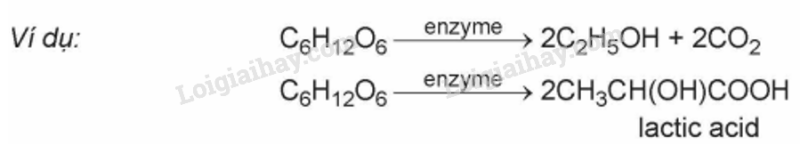 Lý thuyết Giới thiệu về carbohydrate. Glucose và fructose (Hóa 12 Kết nối tri thức 2024) (ảnh 2)