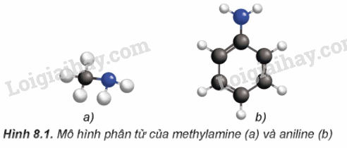 Lý thuyết Amine (Hóa 12 Kết nối tri thức 2024) (ảnh 6)