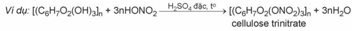 Lý thuyết Tinh bột và cellulose (Hóa 12 Kết nối tri thức 2024) (ảnh 2)