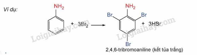 Lý thuyết Amine (Hóa 12 Kết nối tri thức 2024) (ảnh 3)