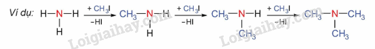 Lý thuyết Amine (Hóa 12 Kết nối tri thức 2024) (ảnh 2)