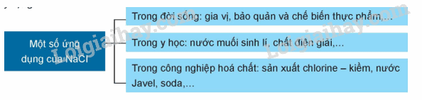 Lý thuyết Nguyên tố nhóm IA (Hóa 12 Kết nối tri thức 2024) (ảnh 3)