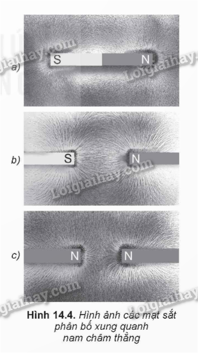 Lý thuyết Từ trường (Vật Lí 12 Kết nối tri thức 2024) (ảnh 4)