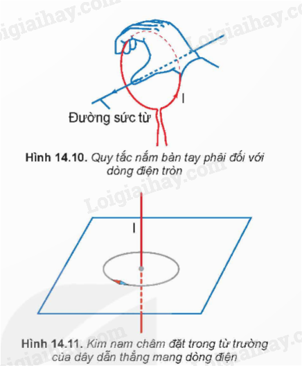 Lý thuyết Từ trường (Vật Lí 12 Kết nối tri thức 2024) (ảnh 1)