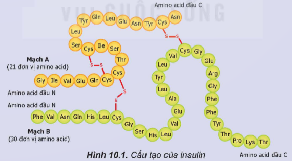 Tài liệu VietJack