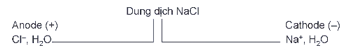 Điện phân dung dịch NaCl bão hoà với điện cực trơ (graphite) trang 80 Hóa học 12