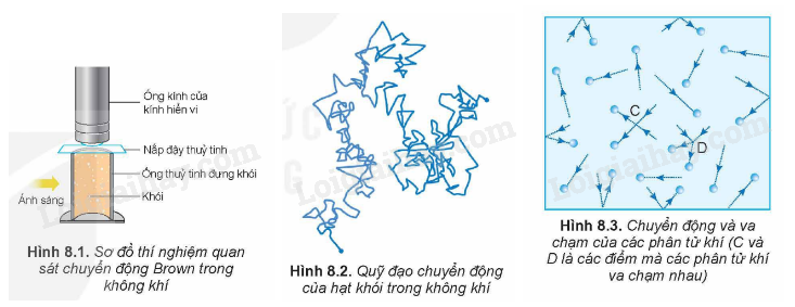 Lý thuyết Mô hình động học phân tử chất khí (Vật Lí 12 Kết nối tri thức 2024) (ảnh 1)