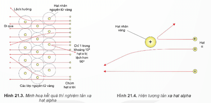 Lý thuyết Vật Lí 12 Kết nối tri thức Bài 21: Cấu trúc hạt nhân