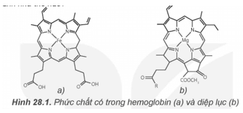 Phức chất có trong một số thành phần quan trọng của sinh vật như hemoglobin, chất diệp lục