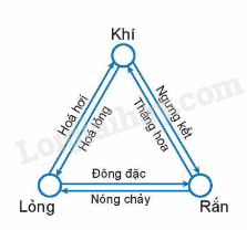 Lý thuyết Cấu trúc của chất. Sự chuyển thể (Vật Lí 12 Kết nối tri thức 2024) (ảnh 2)