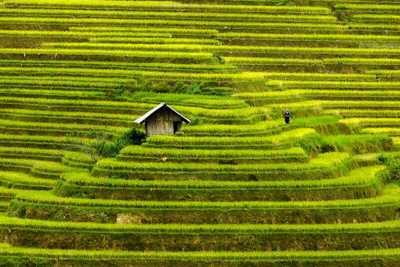 Từ vựng Tiếng anh lớp 12 Unit 4: Urbanisation - Global Success (ảnh 9)