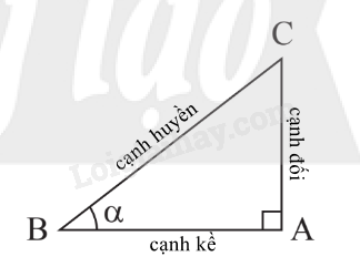 Lý thuyết Tỉ số lượng giác của góc nhọn (Chân trời sáng tạo 2024) | Lý thuyết Toán 9 (ảnh 1)