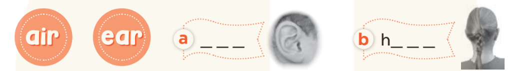 Sách bài tập Tiếng Anh lớp 3 Unit 4 trang 16 Phonics and Vocabulary - Kết nối tri thức (ảnh 1)