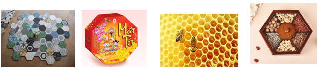 16 câu Trắc nghiệm Hình tam giác đều. Hình vuông. Hình lục giác đều (Kết nối tri thức) có đáp án – Toán 6 (ảnh 1)