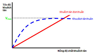 Sách bài tập Sinh học 10 Chương 3 (Kết nối tri thức): Trao đổi chất qua màng và truyền tin tế báo (ảnh 1)