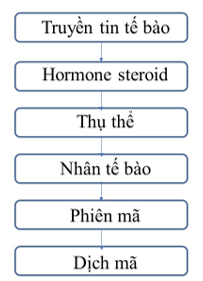 Sách bài tập Sinh học 10 Chương 3 (Kết nối tri thức): Trao đổi chất qua màng và truyền tin tế báo (ảnh 1)
