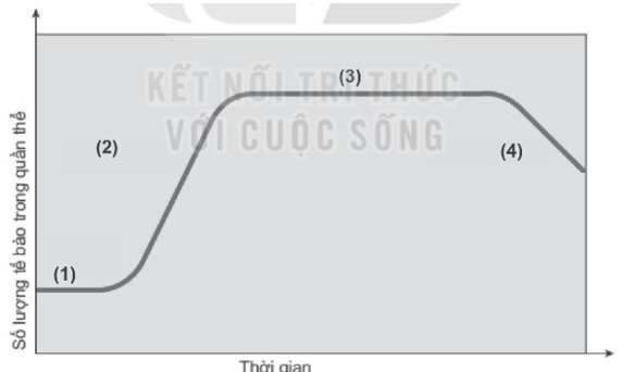 Sách bài tập Sinh học 10 Chương 6 (Kết nối tri thức): Sinh học vi sinh vật (ảnh 1)