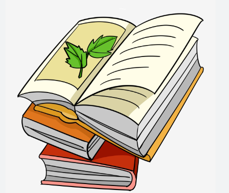 TOP 10 đoạn văn có câu chủ đề ở đầu đoạn (2023) SIÊU HAY (ảnh 1)