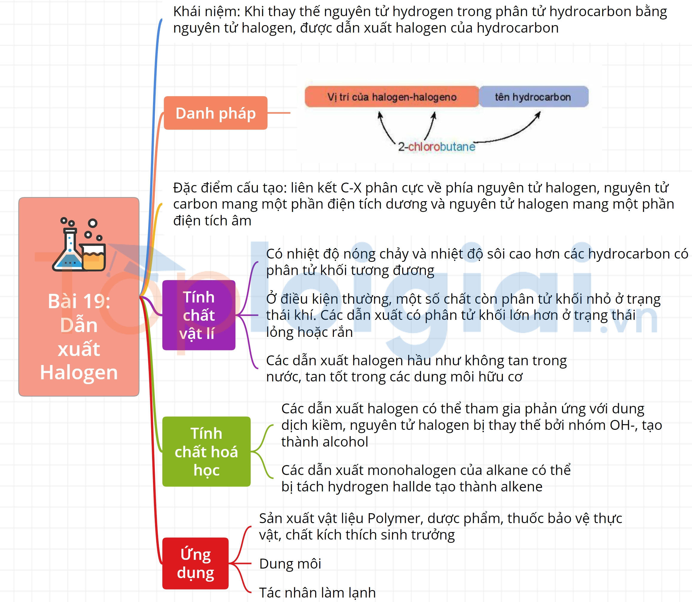Lý thuyết Dẫn xuất halogen – Hóa 11 Kết nối tri thức (ảnh 1)