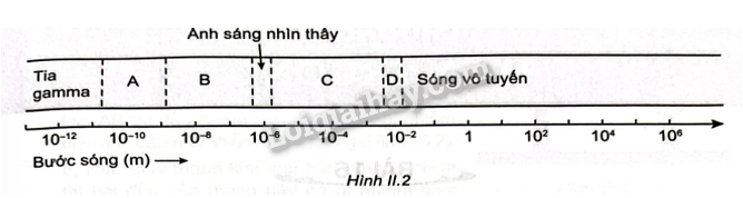 Sách bài tập Vật lí 11 (Kết nối tri thức) Bài tập cuối chương 2 trang 27 (ảnh 1)