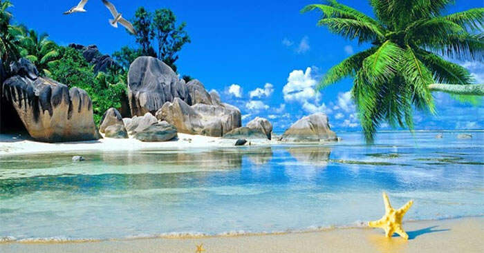 TOP 10 bài Tả một cảnh biển đảo em đã được thấy tận mắt 2024 SIÊU HAY (ảnh 1)