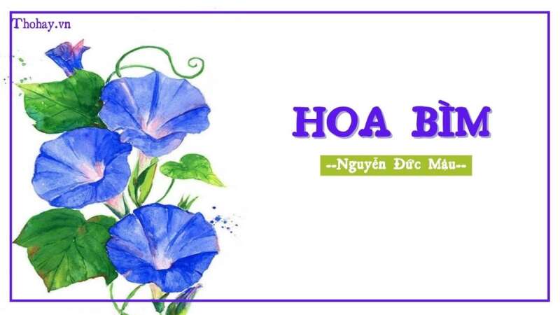 TOP 10 Đoạn văn thể hiện tình cảm, cảm xúc về một bài thơ SIÊU HAY (ảnh 1)