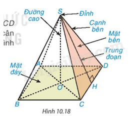Lý thuyết Hình chóp tứ giác đều (Kết nối tri thức 2023) hay, chi tiết | Lý thuyết Toán lớp 8 (ảnh 1)