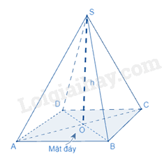Lý thuyết Hình chóp tứ giác đều (Kết nối tri thức 2023) hay, chi tiết | Lý thuyết Toán lớp 8 (ảnh 3)