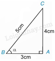 Lý thuyết Tỉ số lượng giác của góc nhọn (Kết nối tri thức 2024) | Lý thuyết Toán 9 (ảnh 2)