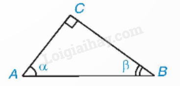 Lý thuyết Tỉ số lượng giác của góc nhọn (Kết nối tri thức 2024) | Lý thuyết Toán 9 (ảnh 4)
