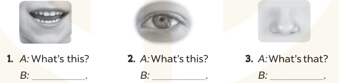 Sách bài tập Tiếng Anh lớp 3 Unit 4 trang 19 Writing - Kết nối tri thức (ảnh 1)