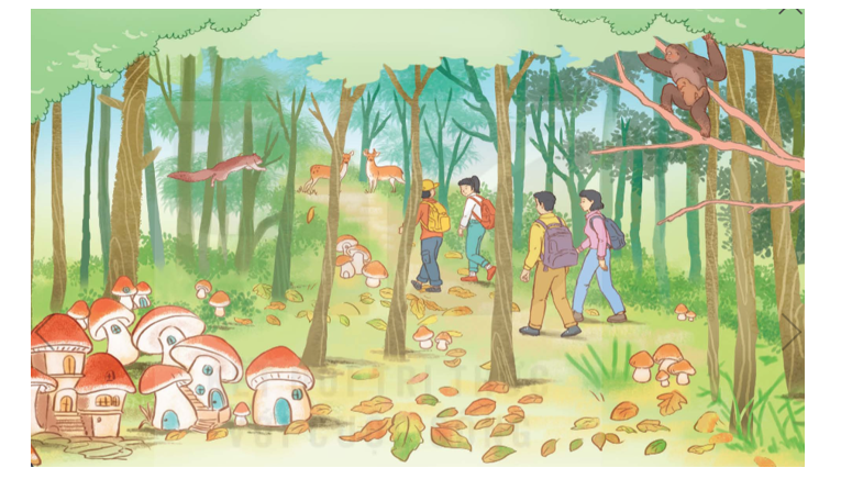 TOP 10 Chia sẻ những điều thú vị về rừng theo hiểu biết của em SIÊU HAY (ảnh 2)