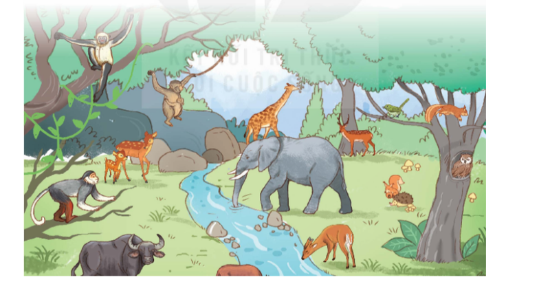 TOP 10 bài Thông tin quan trọng về một số động vật có tên trong Sách đỏ Việt Nam (ảnh 1)