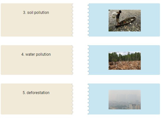 TOP 20 câu Trắc nghiệm Tiếng anh 6 Từ vựng (có đáp án): Our greener world - Kết nối tri thức (ảnh 1)