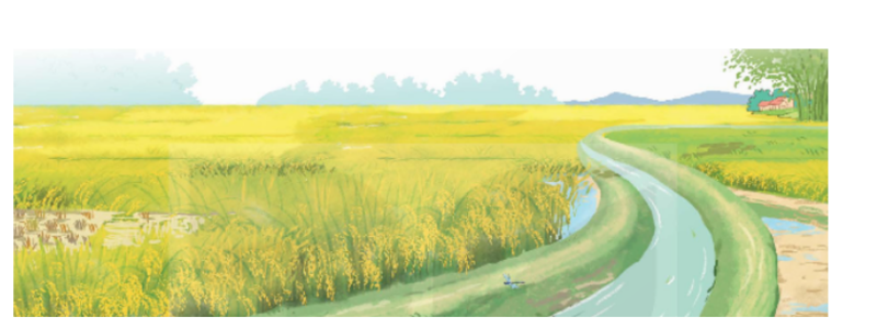 TOP 10 Đóng vai hạt thóc, viết câu đáp lại lời của ngô, có sử dụng một đại từ (ảnh 1)