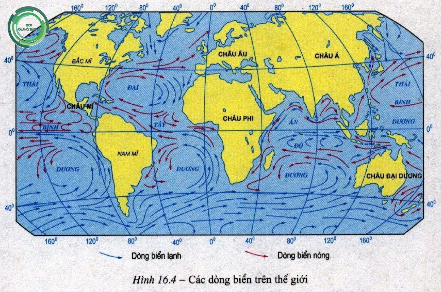 Lý thuyết Địa lí 10 Bài 12: Nước biển và đại dương - Kết nối tri thức  (ảnh 1)