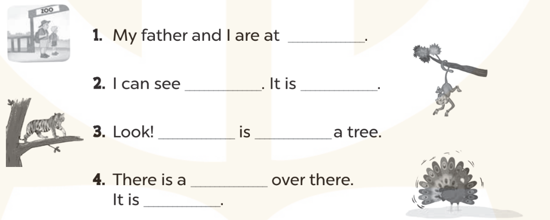 Sách bài tập Tiếng Anh lớp 3 Unit 20 trang 95 Writing - Kết nối tri thức (ảnh 1)