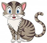 TOP 30 câu Trắc nghiệm Tiếng anh 6 Ngữ pháp (có đáp án): Tính từ sở hữu - Kết nối tri thức (ảnh 1)