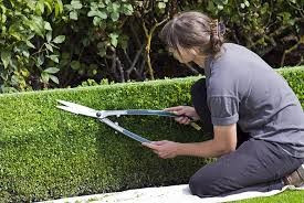 TOP 23 câu Trắc nghiệm Tiếng anh 6 Từ vựng (có đáp án): Robos (phần 1) - Kết nối tri thức (ảnh 1)