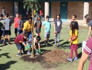 TOP 6 câu Trắc nghiệm Tiếng anh 6 Listening (có đáp án): Our Tet holiday - Kết nối tri thức (ảnh 1)