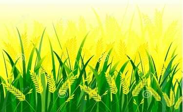 20 Bài tập Yến, tạ, tấn lớp 4 (Kết nối tri thức) có lời giải (ảnh 1)