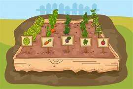 20 Bài tập Giải bài toán có ba bước tính lớp 4 (Kết nối tri thức) có lời giải (ảnh 2)